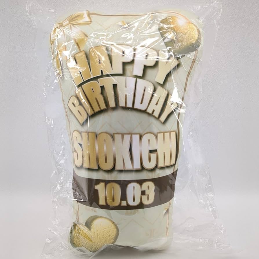 EXILE SHOKICHI クッション EXILE SHOKICHI LIVE TOUR 2023 